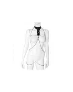 Deluxe Leather Collar with Clamps